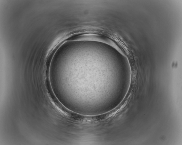 X0000091060101200708061250