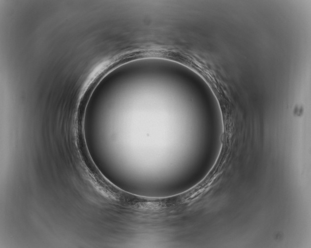 X0000091060102200708061250