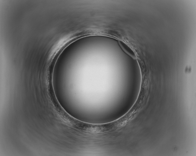 X0000091060103200708061250