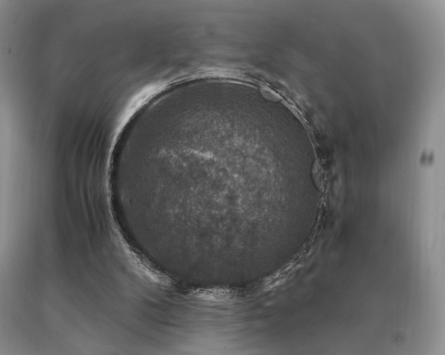 X0000091060104200708061250