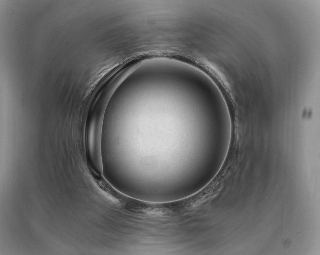 X0000091060105200708061250