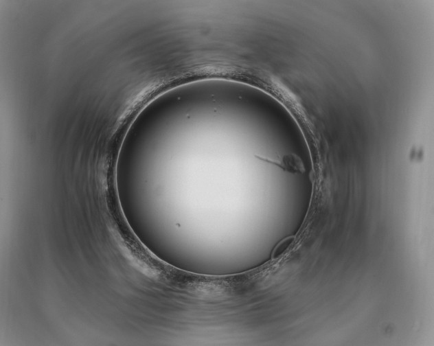 X0000091060106200708061250