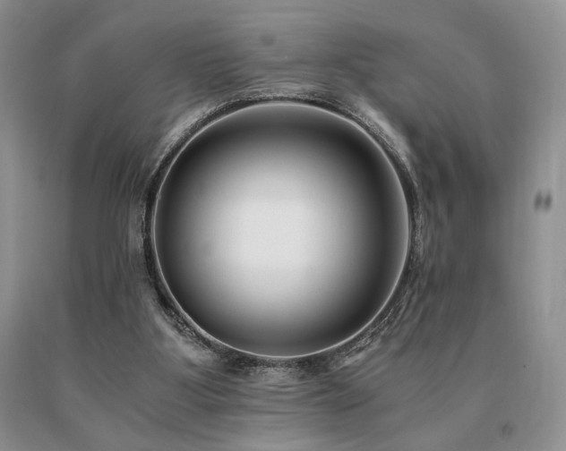 X0000091060107200708061250