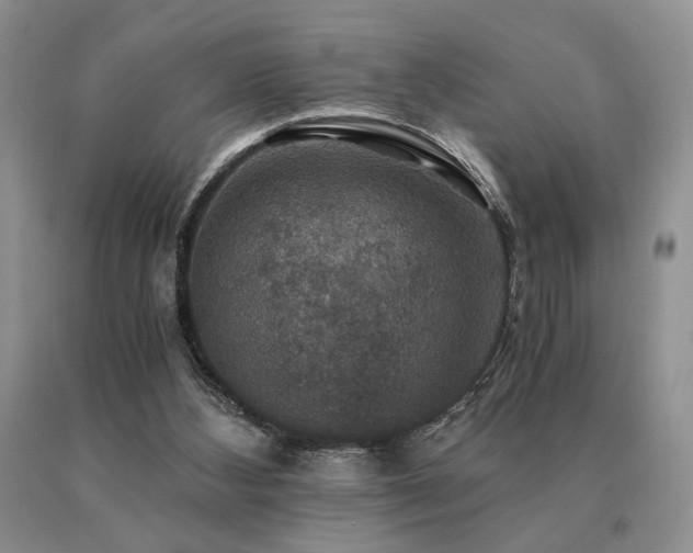 X0000091060108200708061250