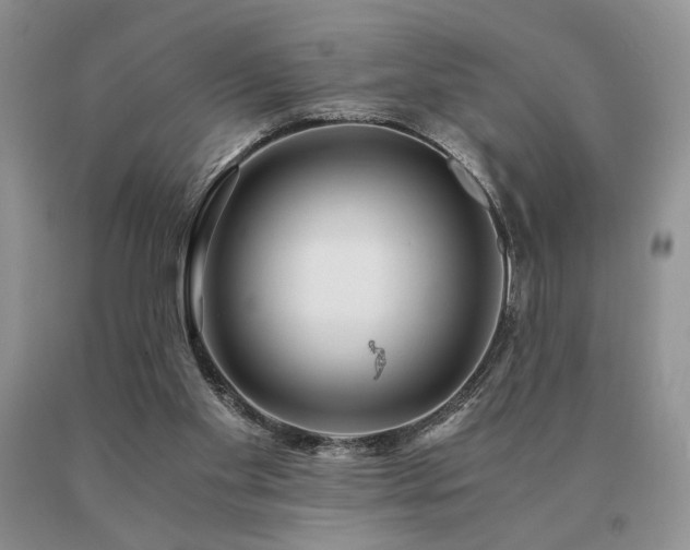 X0000091060109200708061250