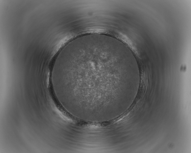 X0000091060110200708061250
