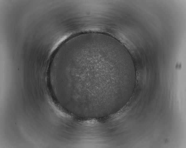 X0000091060112200708061250