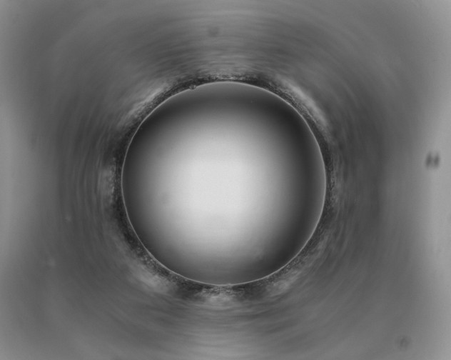 X0000091060113200708061250