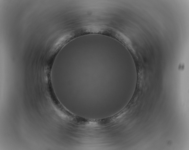 X0000091060114200708061250