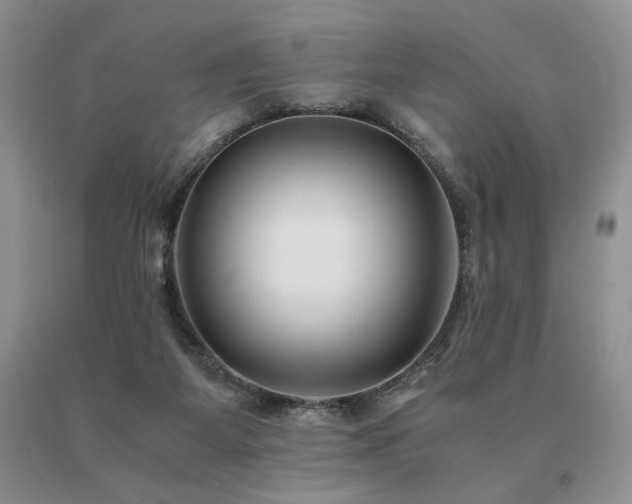 X0000091060115200708061250