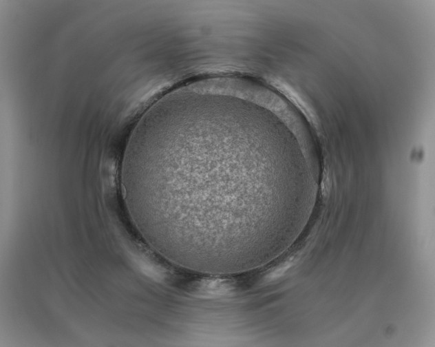 X0000091060117200708061250