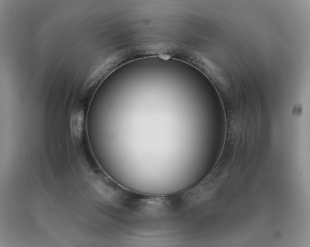 X0000091060118200708061250