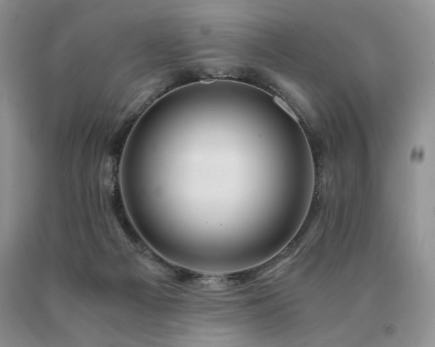 X0000091060121200708061250