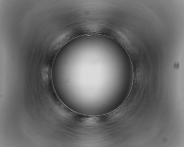 X0000091060122200708061250