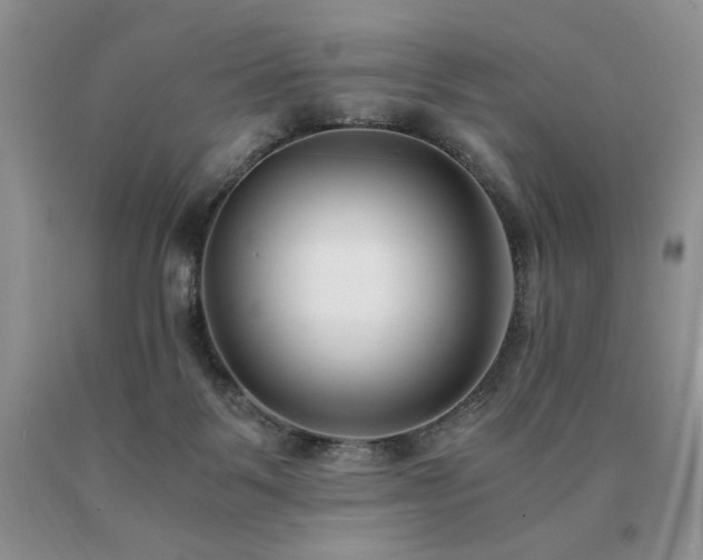 X0000091060123200708061250