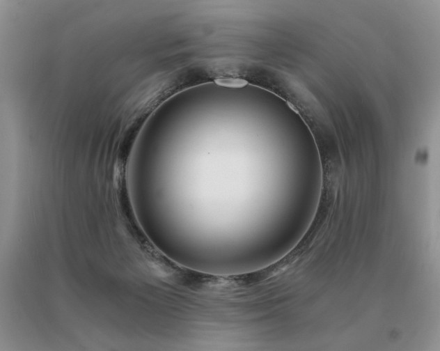 X0000091060125200708061249