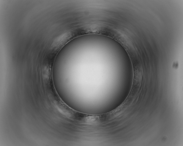 X0000091060126200708061249