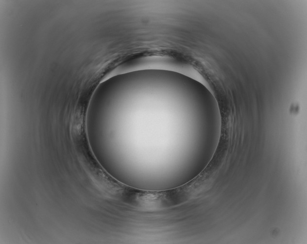 X0000091060129200708061249