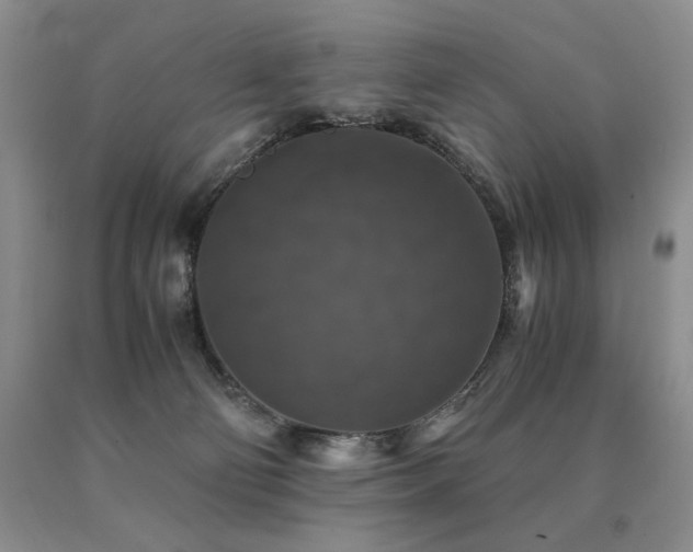 X0000091060130200708061249