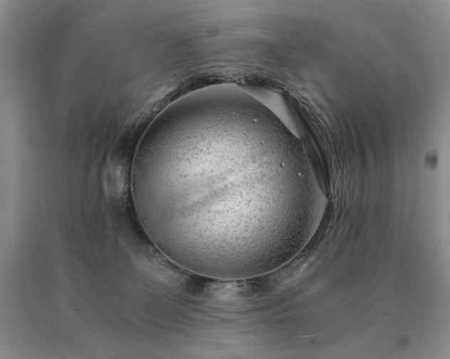 X0000091060131200708061249