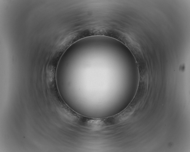X0000091060133200708061249