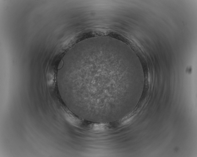 X0000091060134200708061249