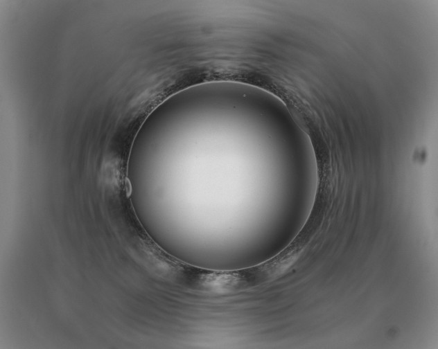X0000091060135200708061249