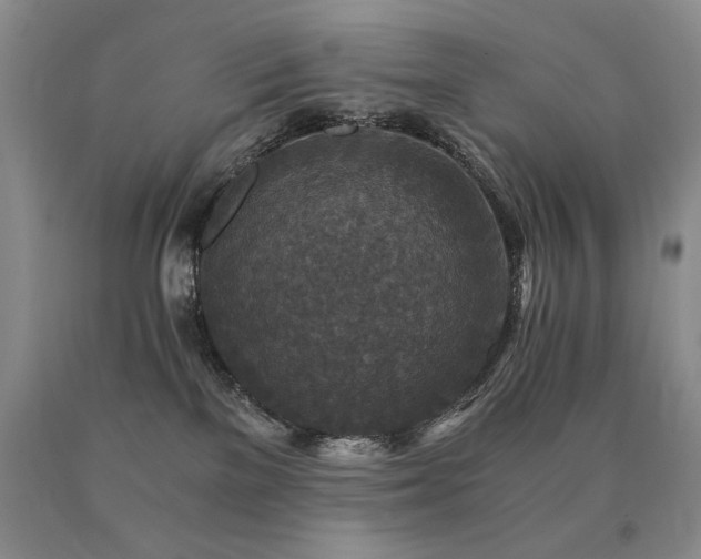 X0000091060137200708061249