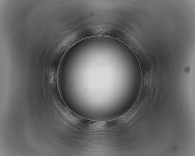 X0000091060138200708061249