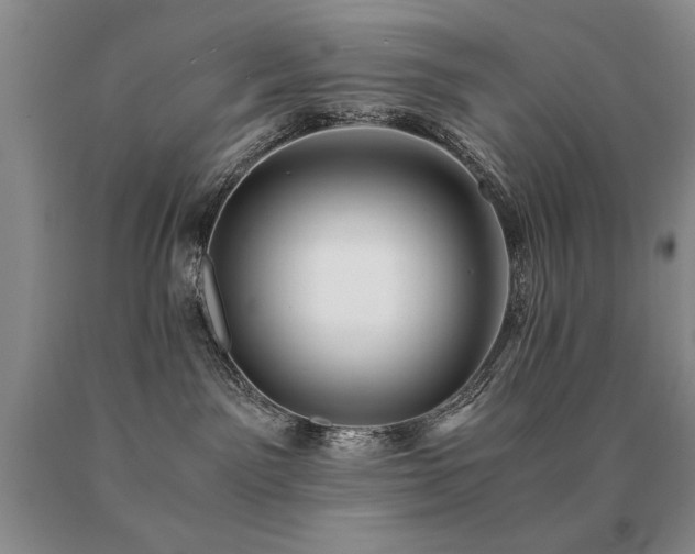 X0000091060141200708061249