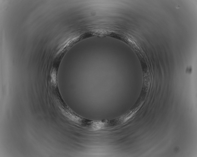 X0000091060143200708061249