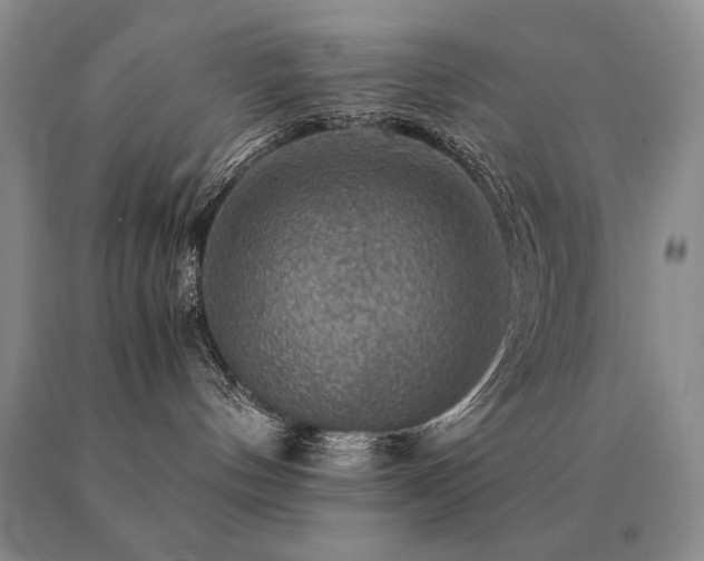 X0000091060144200708061249
