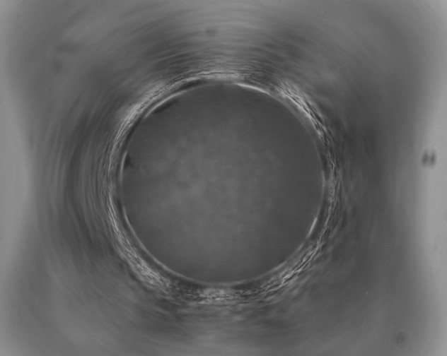 X0000091060145200708061249