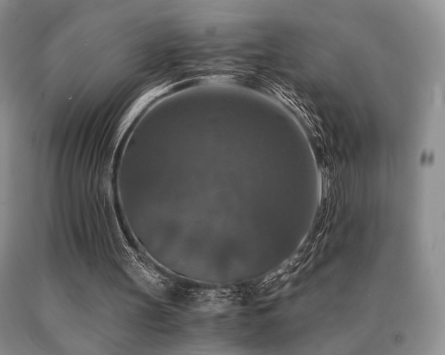 X0000091060147200708061249