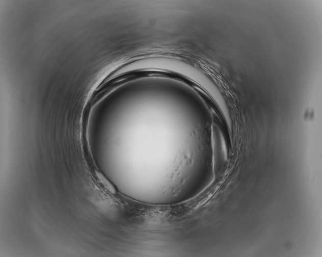 X0000091060148200708061249