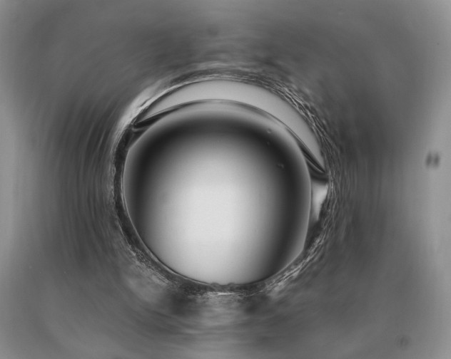 X0000091060150200708061249