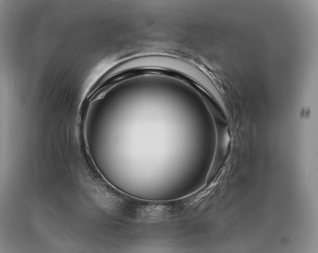 X0000091060152200708061249