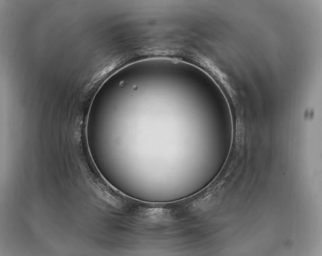X0000091060153200708061249
