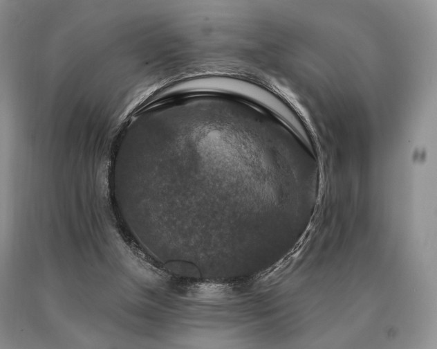 X0000091060154200708061249