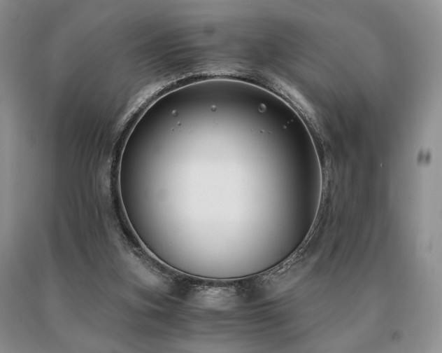 X0000091060155200708061249