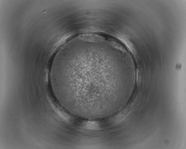 X0000091060157200708061249