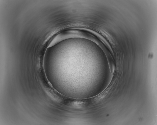 X0000091060158200708061249