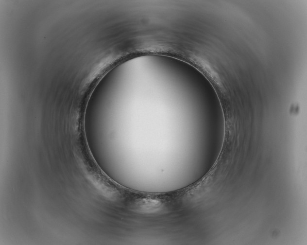X0000091060159200708061249
