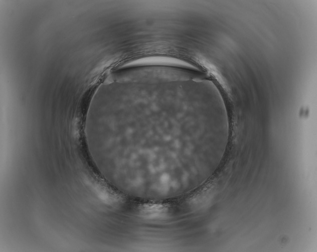 X0000091060161200708061249