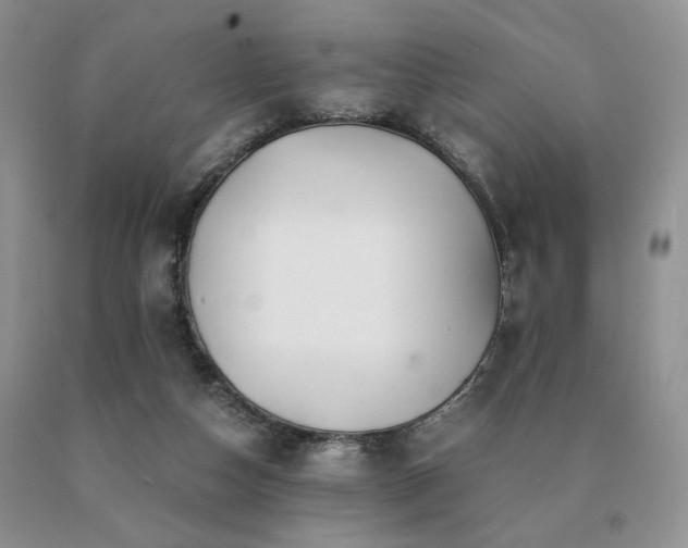 X0000091060162200708061249