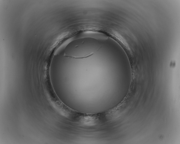 X0000091060163200708061249
