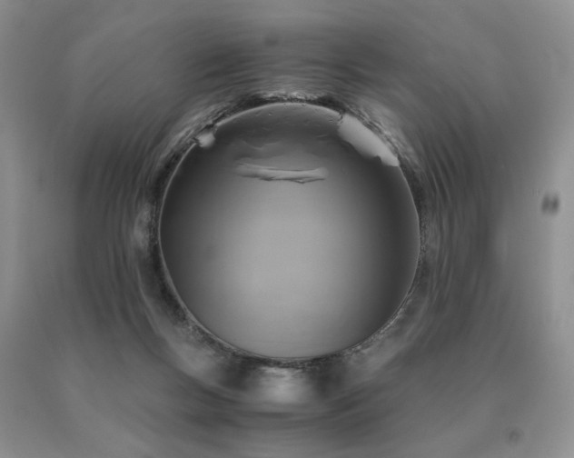 X0000091060167200708061249