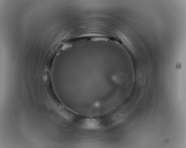 X0000091060169200708061249