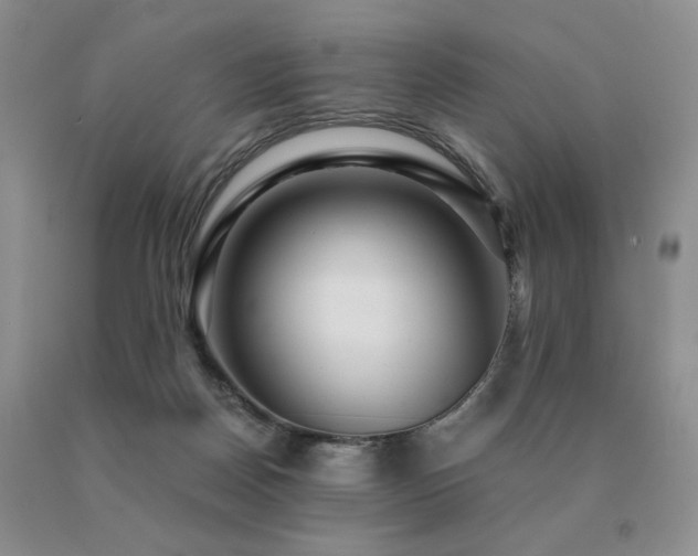 X0000091060170200708061249