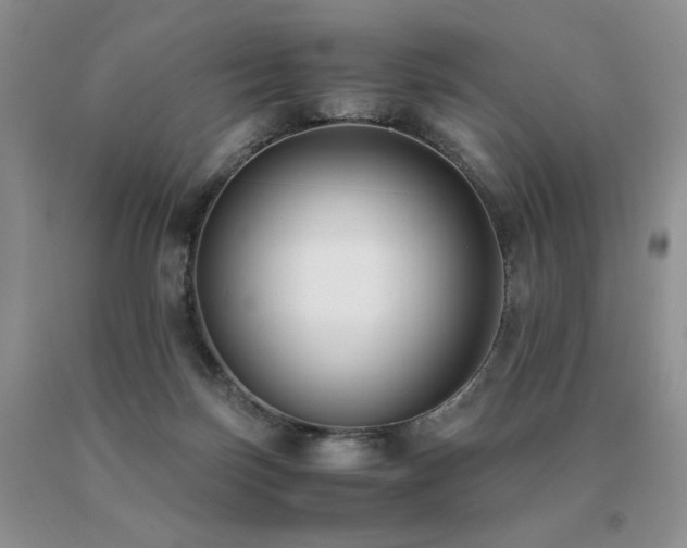 X0000091060171200708061249